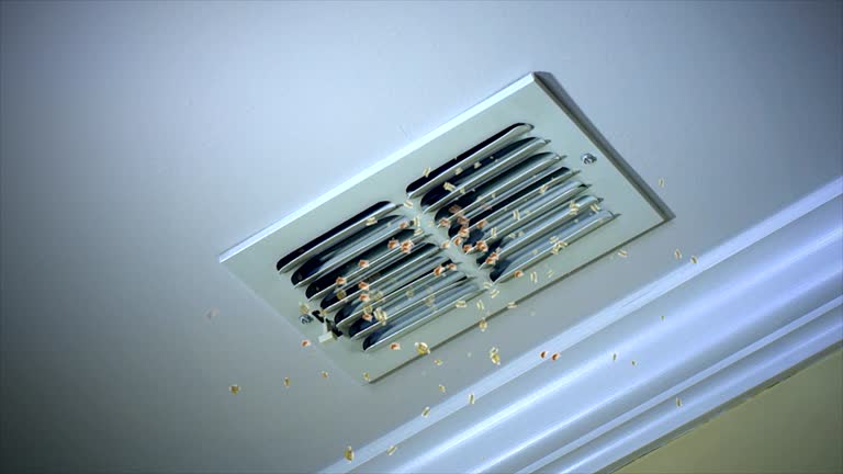 Best Professional Duct Cleaning Services  in Collinsville, CT